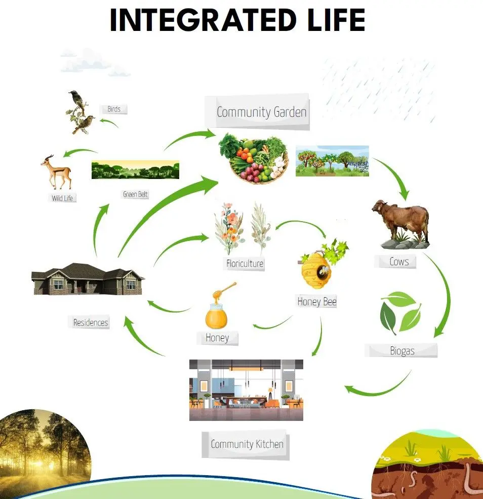 Integrated Life Poster without header and footer.jpg_1686077232
