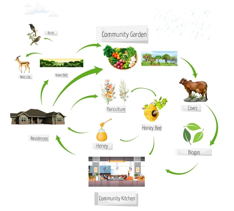 Community garden ecosystem diagram.